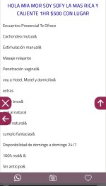 IMG_7891.jpeg