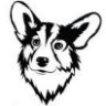 Corgi