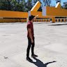 barra7*