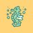 Seahorse Photography